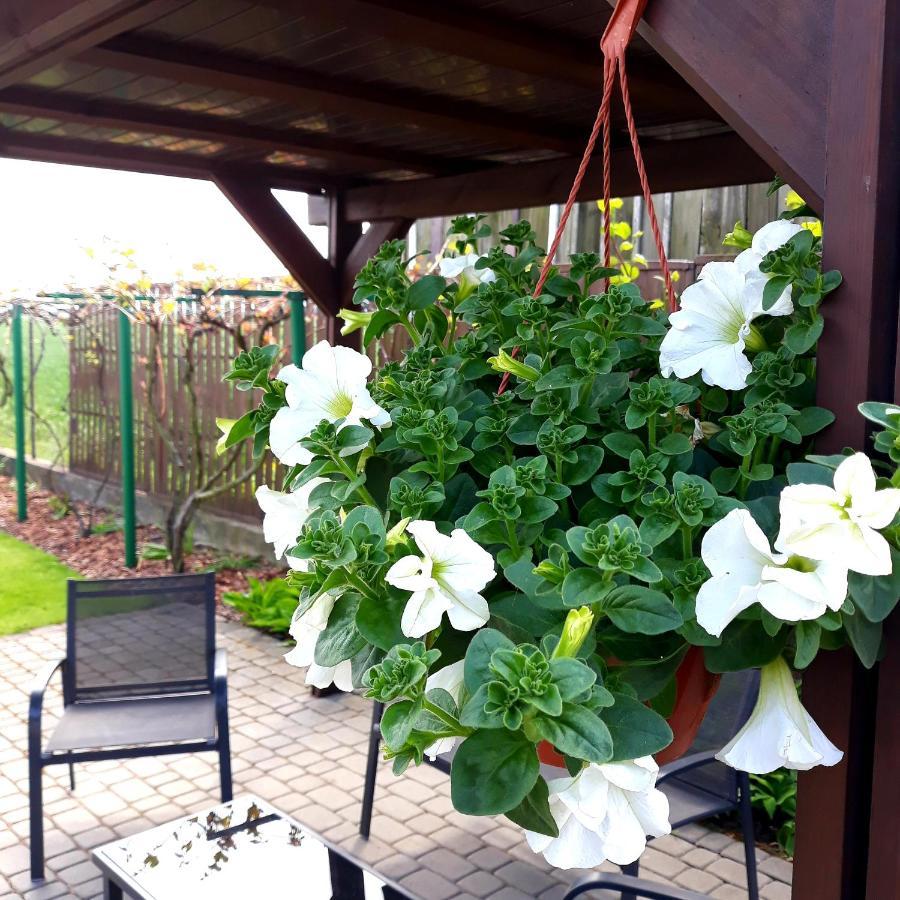 Zielone Zacisze Villa Uniejow Luaran gambar