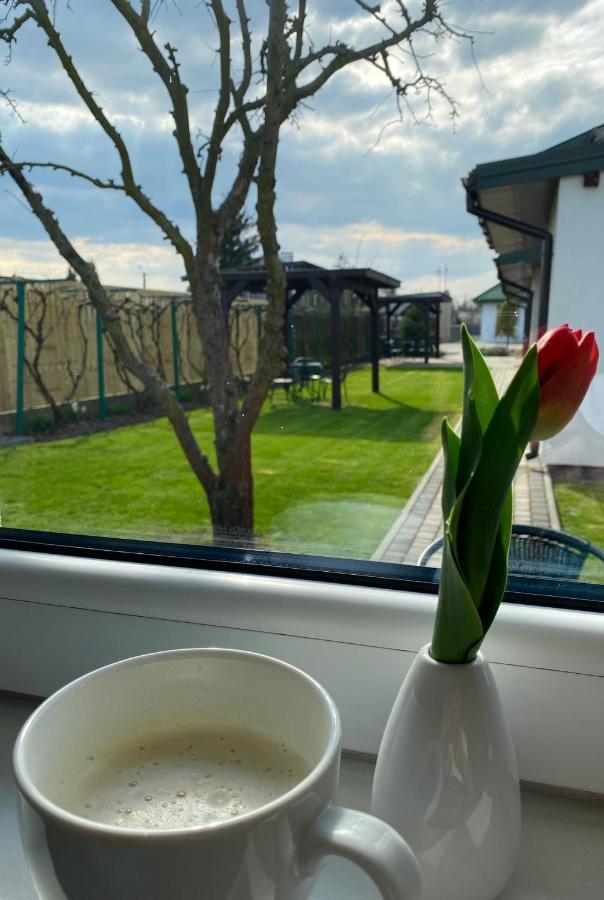 Zielone Zacisze Villa Uniejow Luaran gambar