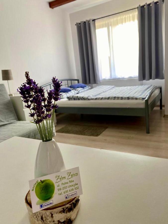 Zielone Zacisze Villa Uniejow Luaran gambar