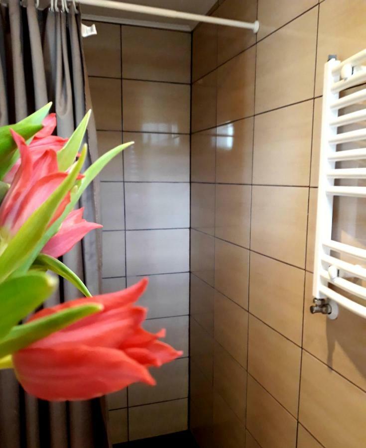 Zielone Zacisze Villa Uniejow Luaran gambar