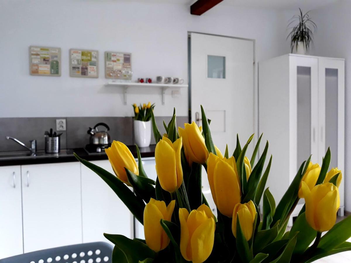 Zielone Zacisze Villa Uniejow Luaran gambar
