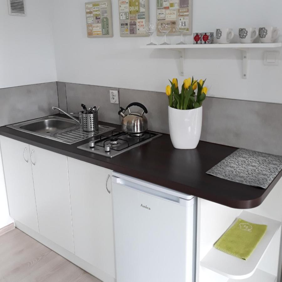 Zielone Zacisze Villa Uniejow Luaran gambar